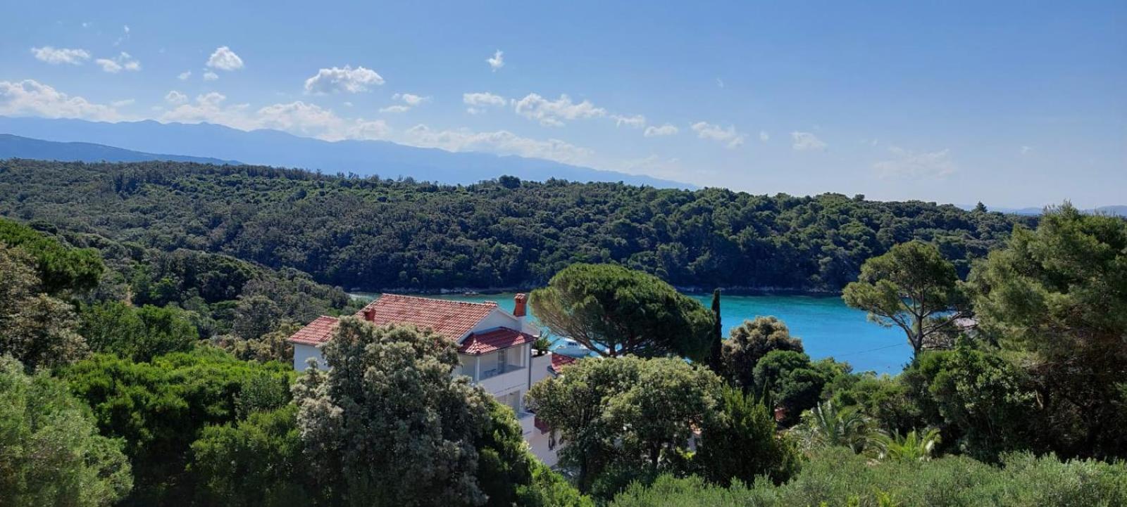 Milijana Apartments Rab Rab Town Zimmer foto